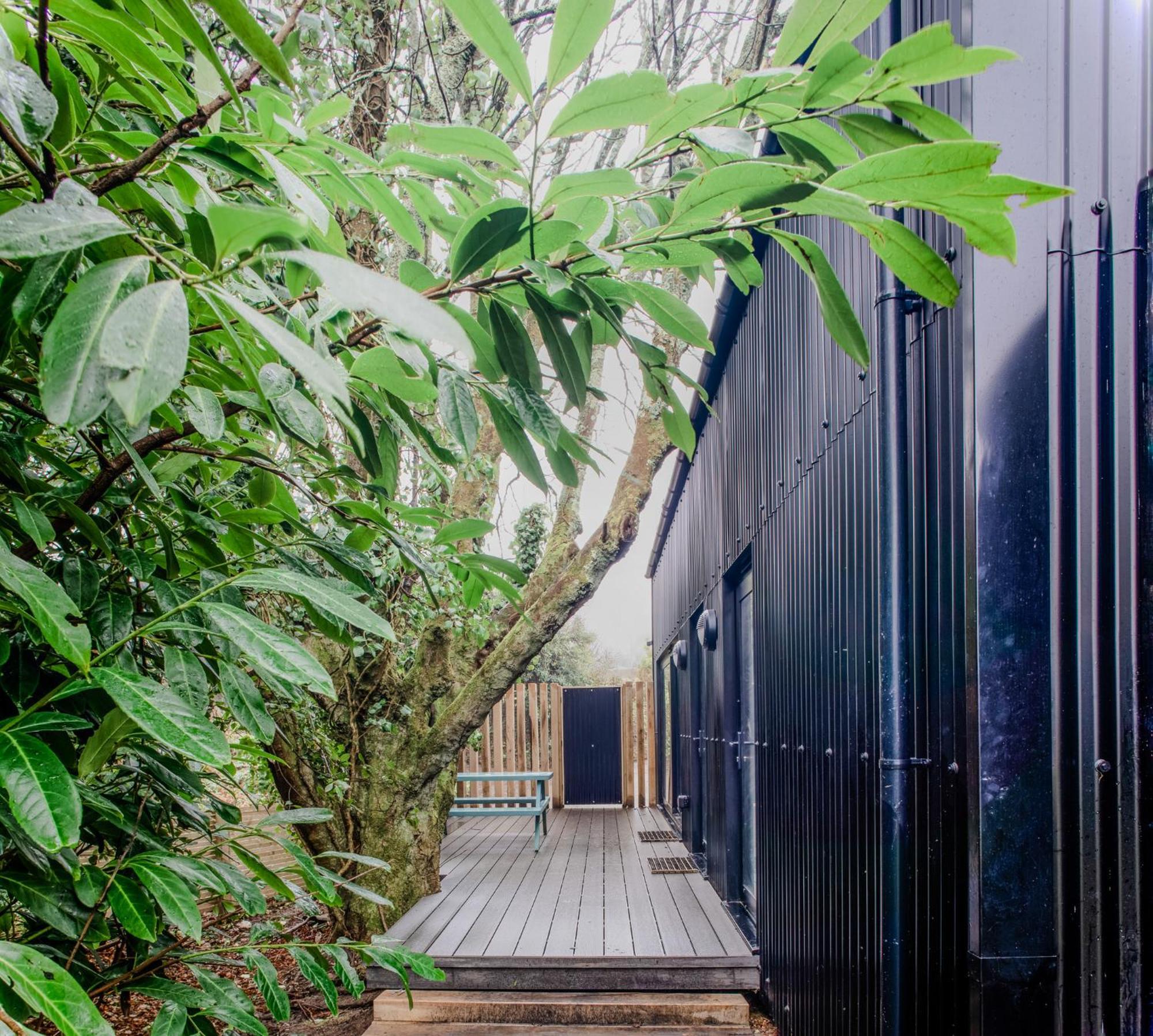 Lowen Tree House Труро Экстерьер фото